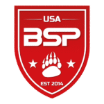 BSP logo