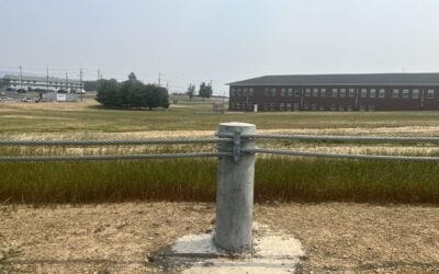 Meeting Safety and Compliance Standards with Cable Barriers in High-Security Facilities