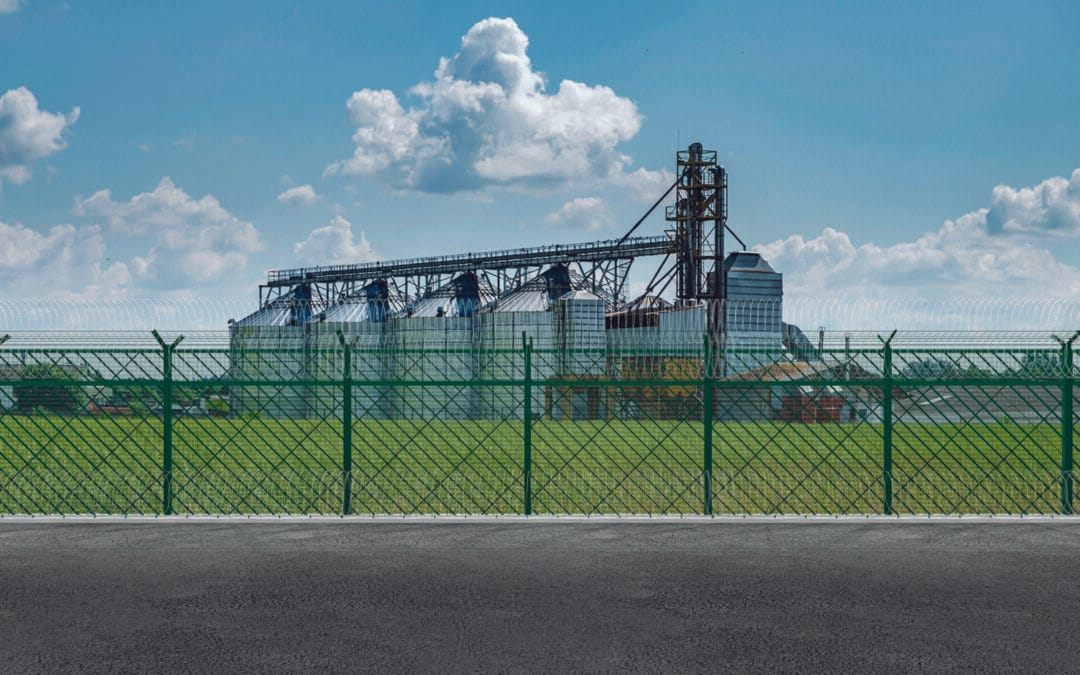 Heavy Duty Welded Wire Fence Panels: A Practical Guide to Strength, Security, and Smart Perimeter Design